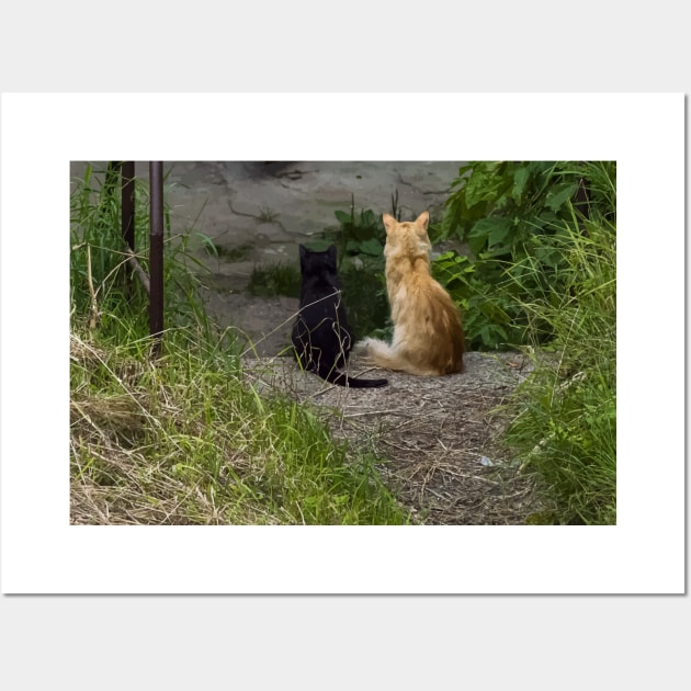 Ginger and black cats sit side by side in the grass and look from the stairs. View from the back Wall Art by EvgeniiV